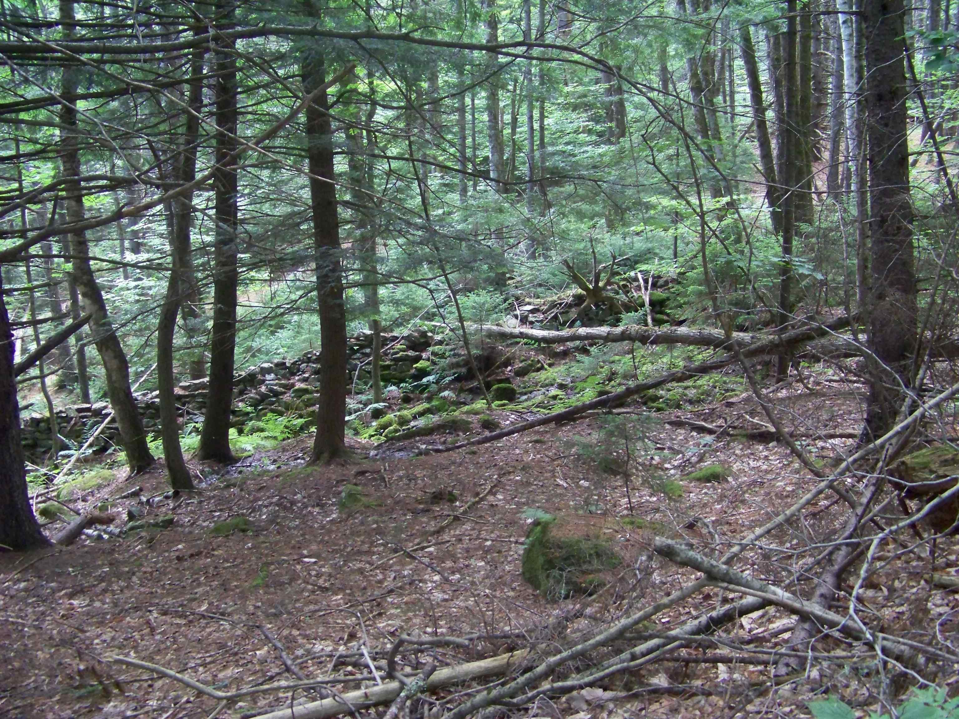 1003 Quarry Hill Road