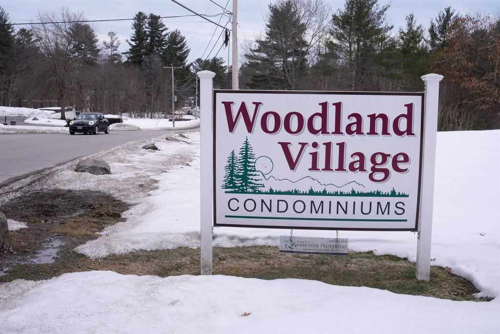 Photo of 45 Constitution Drive #45C, Londonderry, NH 03053 (MLS # 5078725)