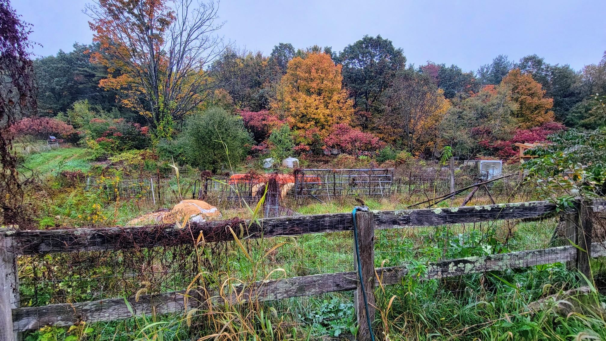 Weare, New Hampshire 03281, United States, ,Commercial,Active,226818