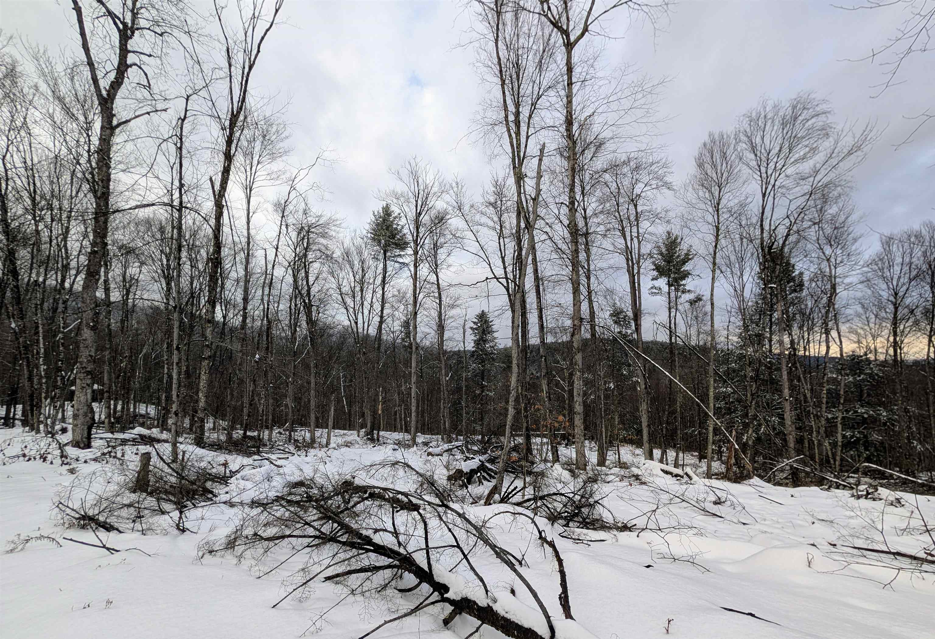 Photo 1 of 15 — 0 Dover Road, Newfane, VT 05351