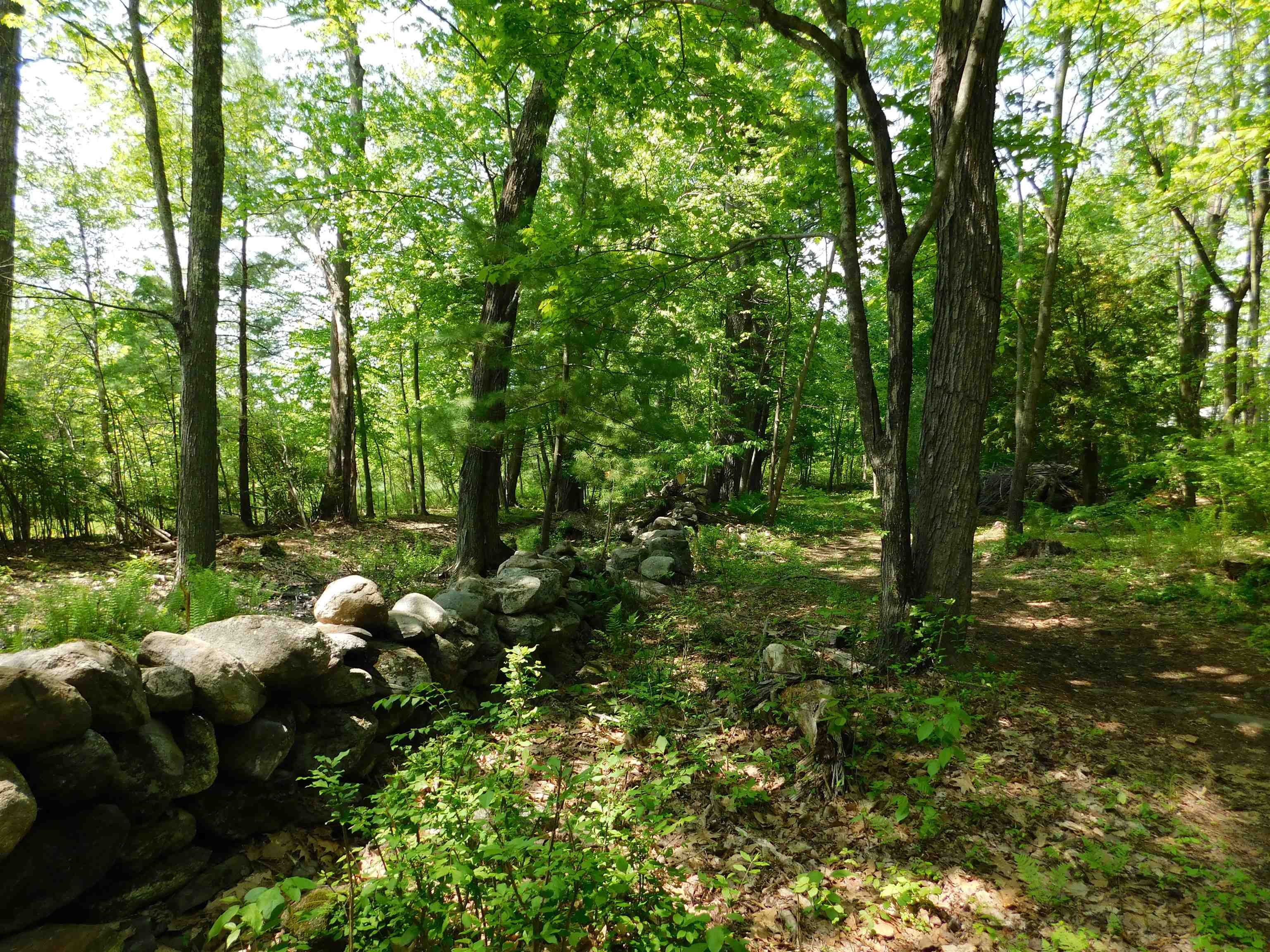 225 Rockingham Road