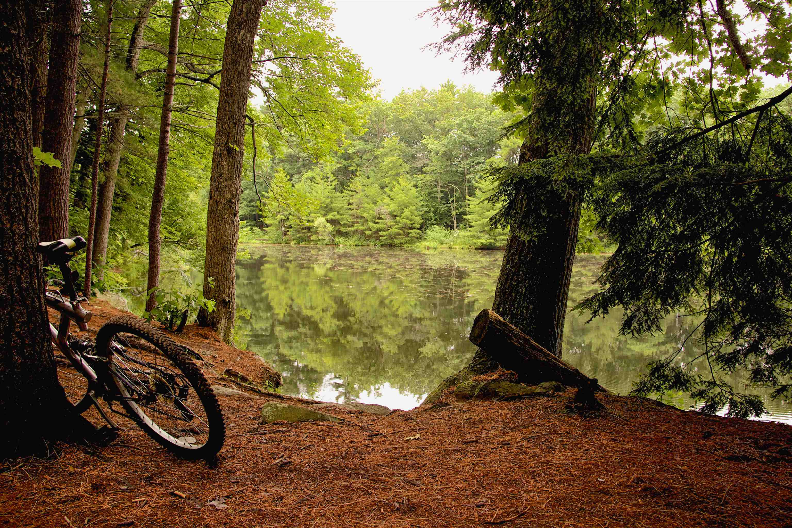 Conway, New Hampshire 03860, United States, 1 Bedroom Bedrooms, ,1 BathroomBathrooms,Residential,Active,109148