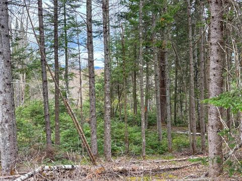 0 Atwood Road 4 Brighton VT 05846