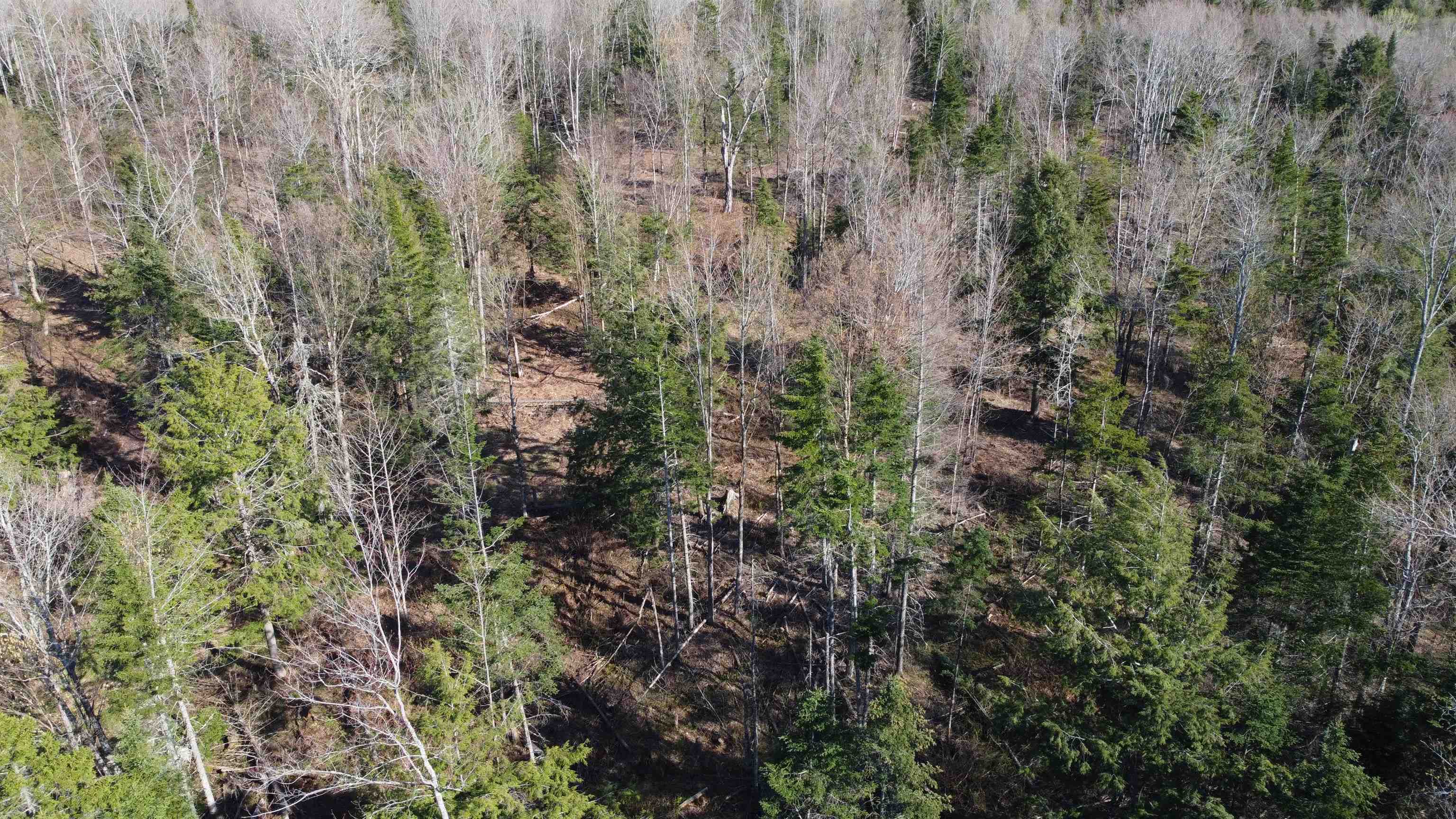 0 Atwood Road 4