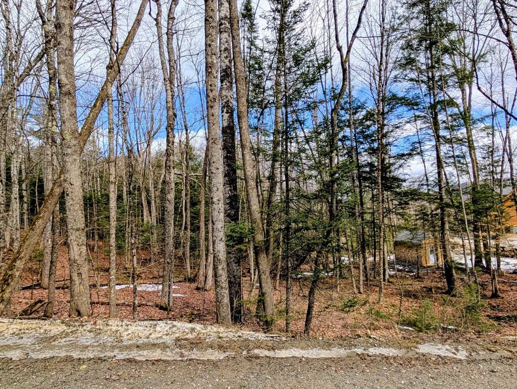 Photo of 258 Kearsarge Drive, Haverhill, NH 03785 (MLS # 5079641)