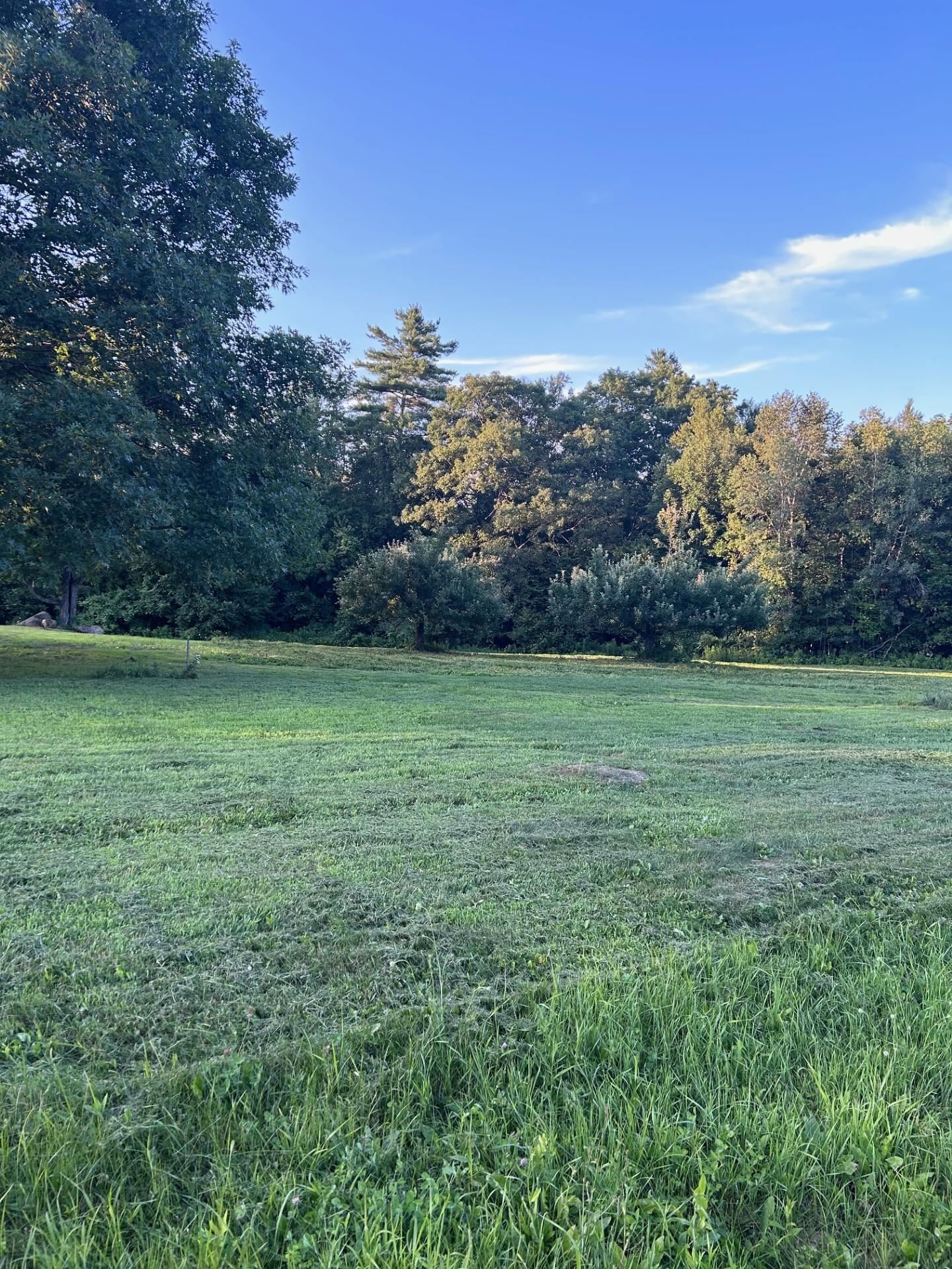 Map 7 Lot 1, 298 Battle Street