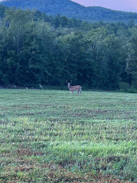 Map 7 Lot 1, 298 Battle Street Webster NH 03303