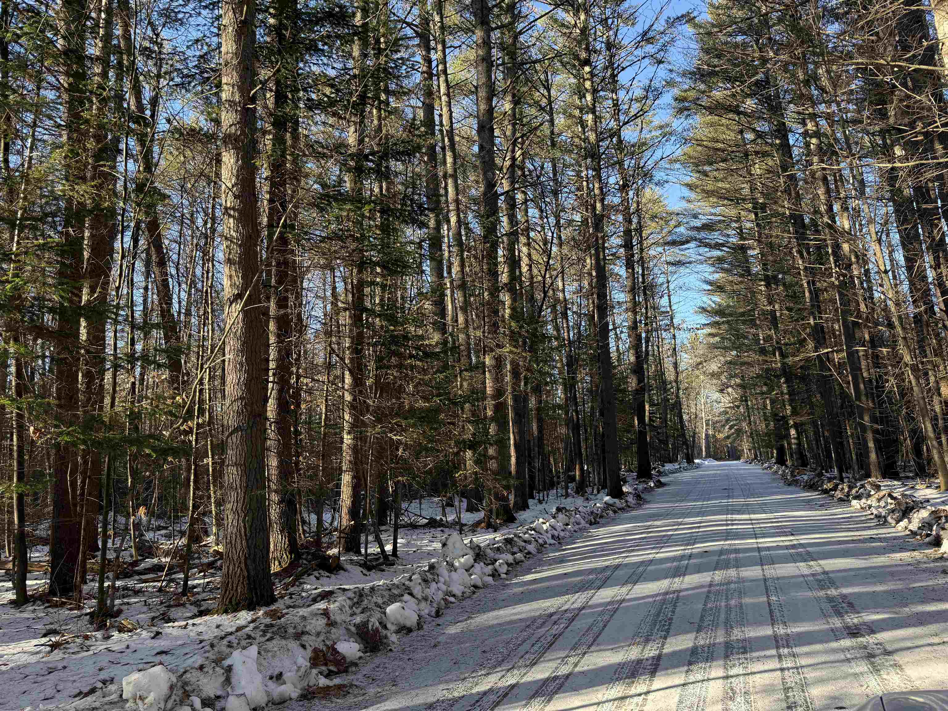 Blueberry Woods Drive