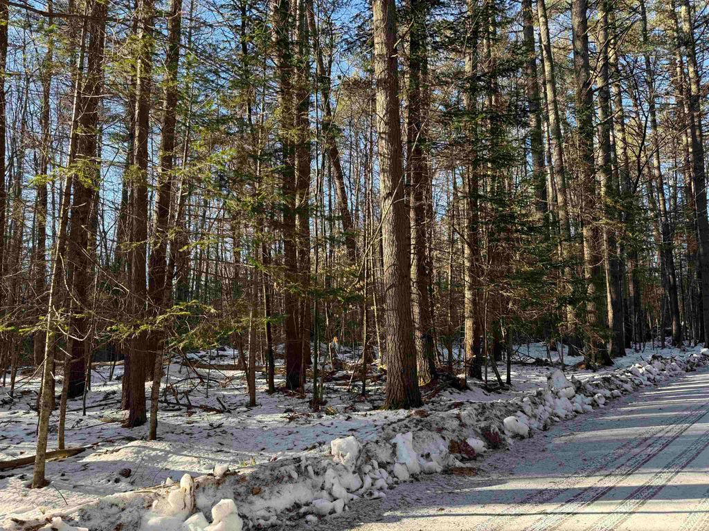 Photo of Blueberry Woods Drive, Canaan, NH 03741 (MLS # 5074384)