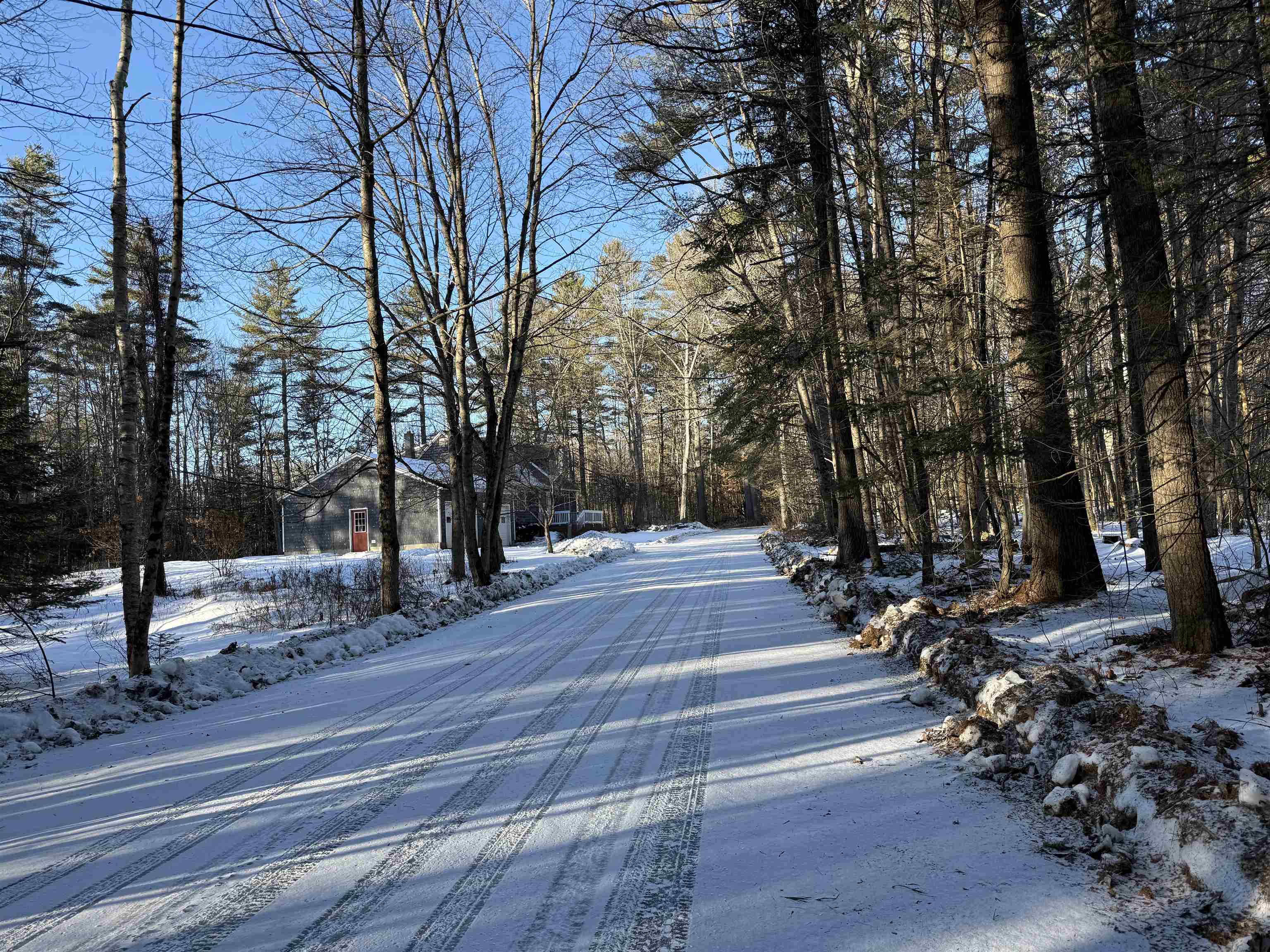 Blueberry Woods Drive