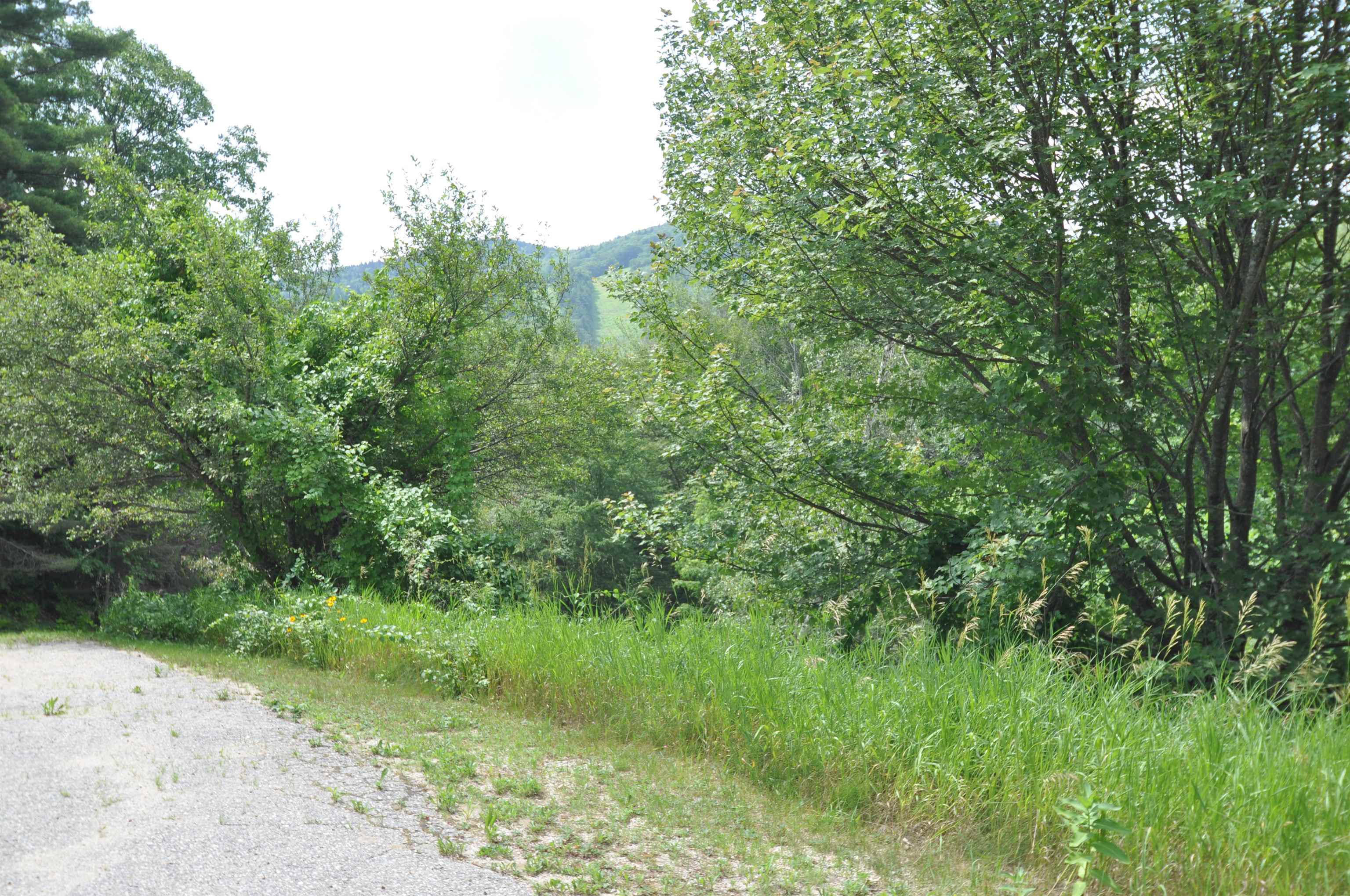 39 Birch Glen Drive