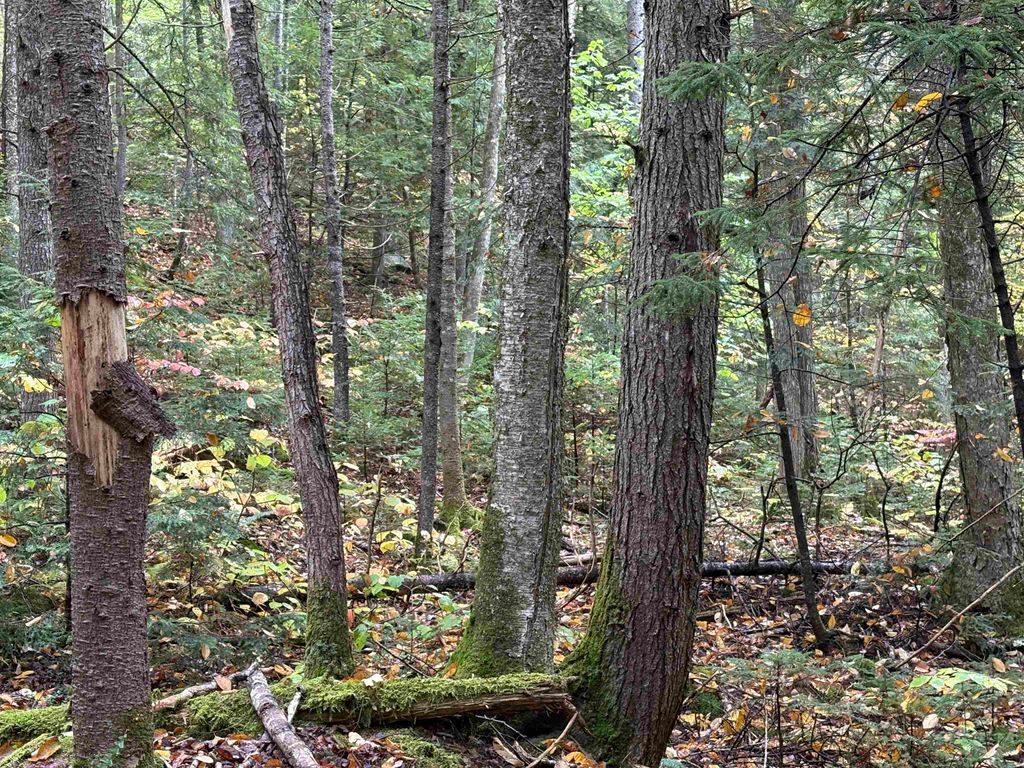 Photo of New Hampshire Route 25, Warren, NH 03279 (MLS # 5062790)