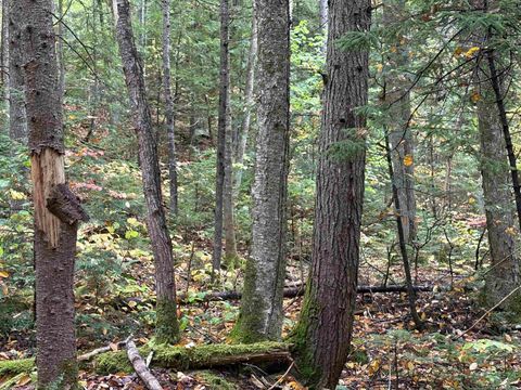 New Hampshire Route 25 Warren NH 03279