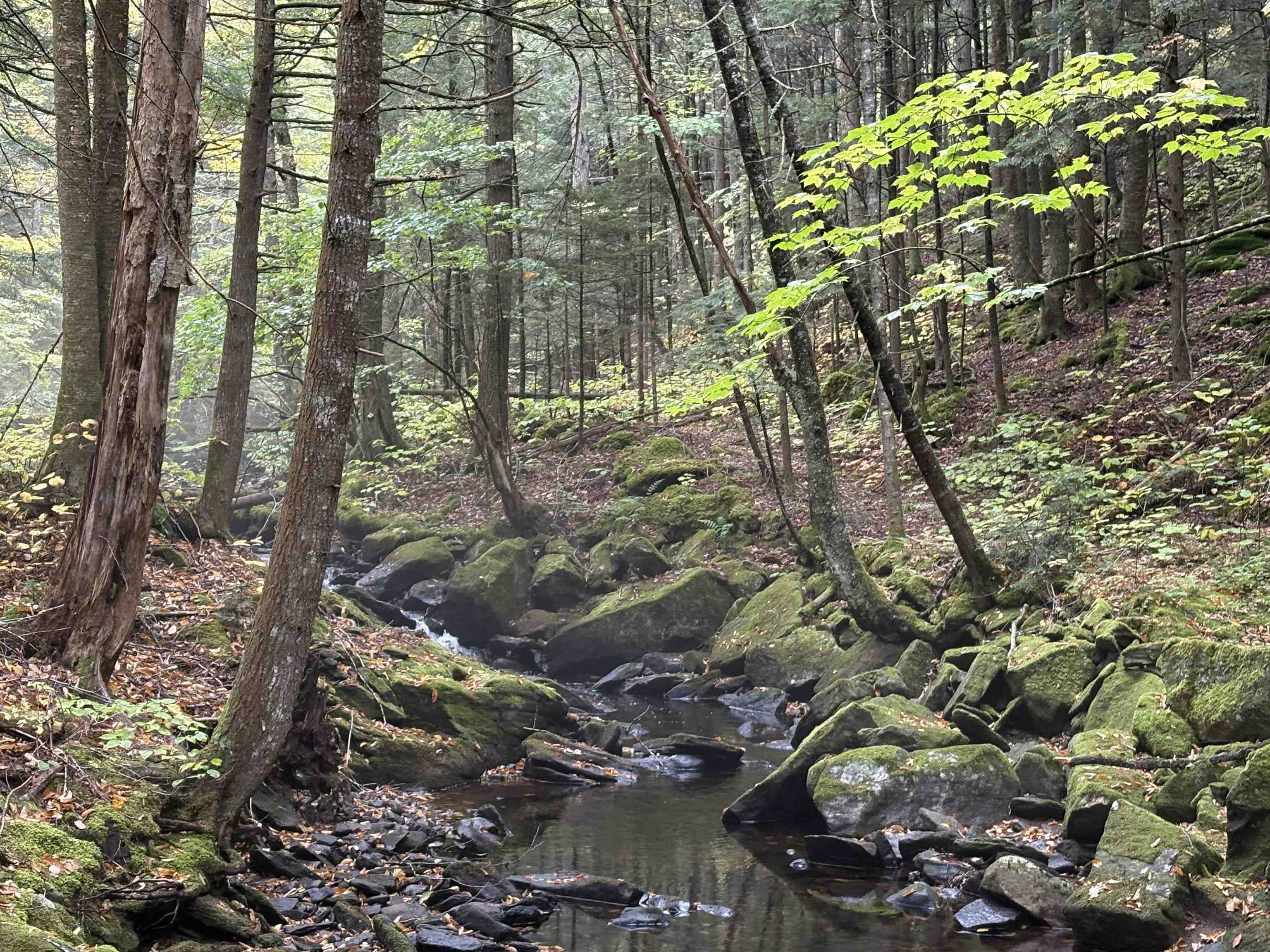 New Hampshire Route 25