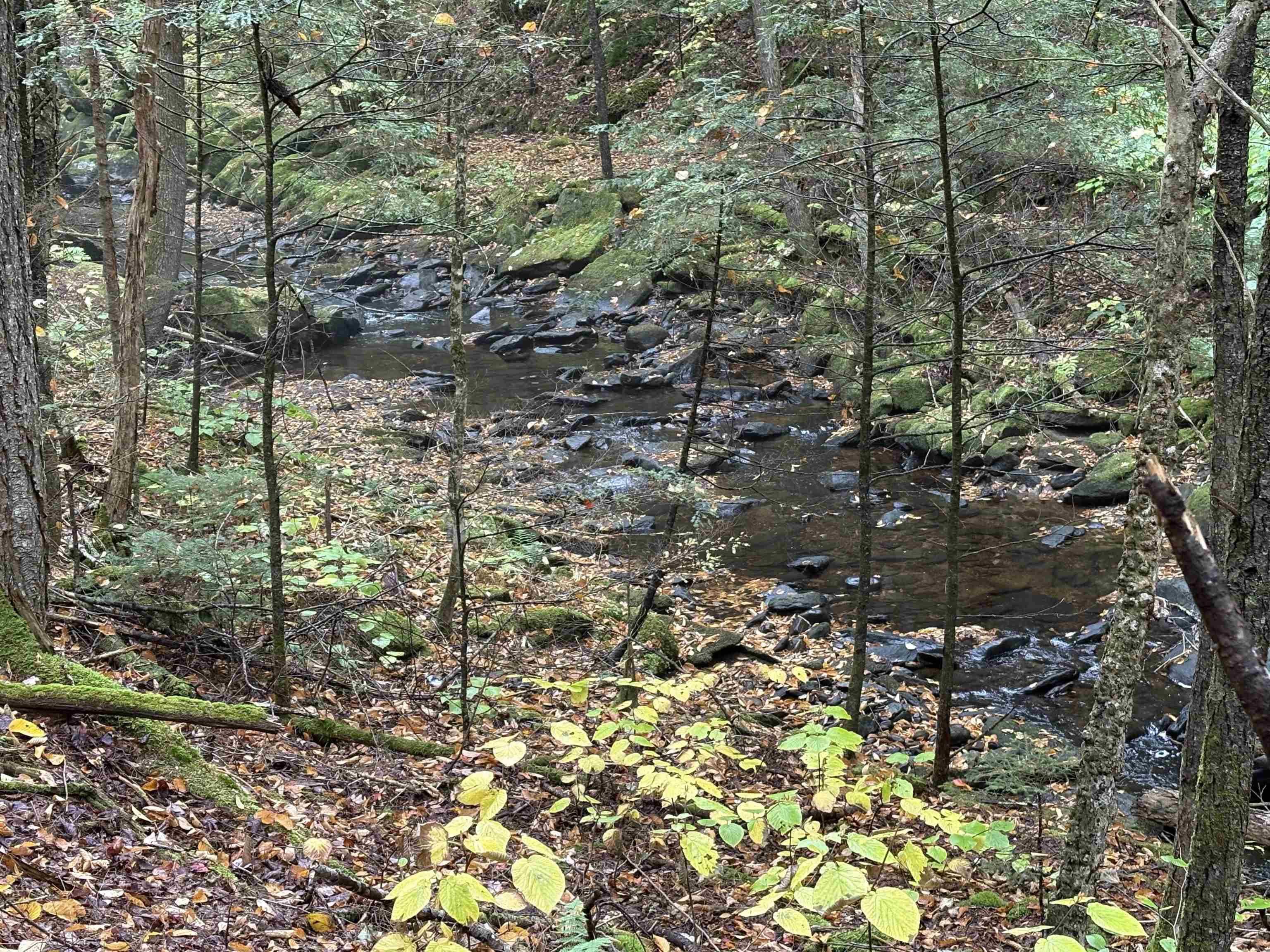 New Hampshire Route 25