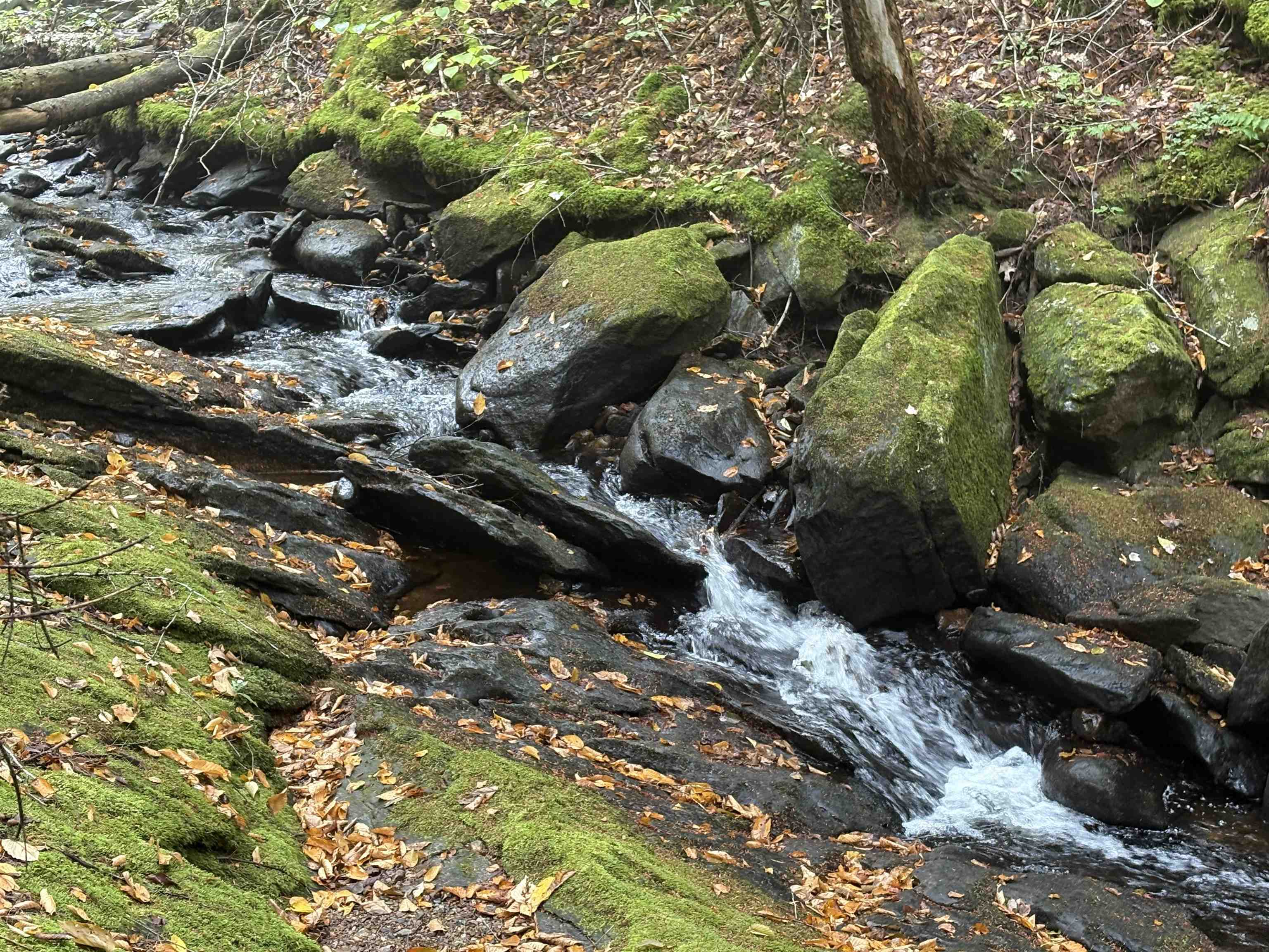 New Hampshire Route 25