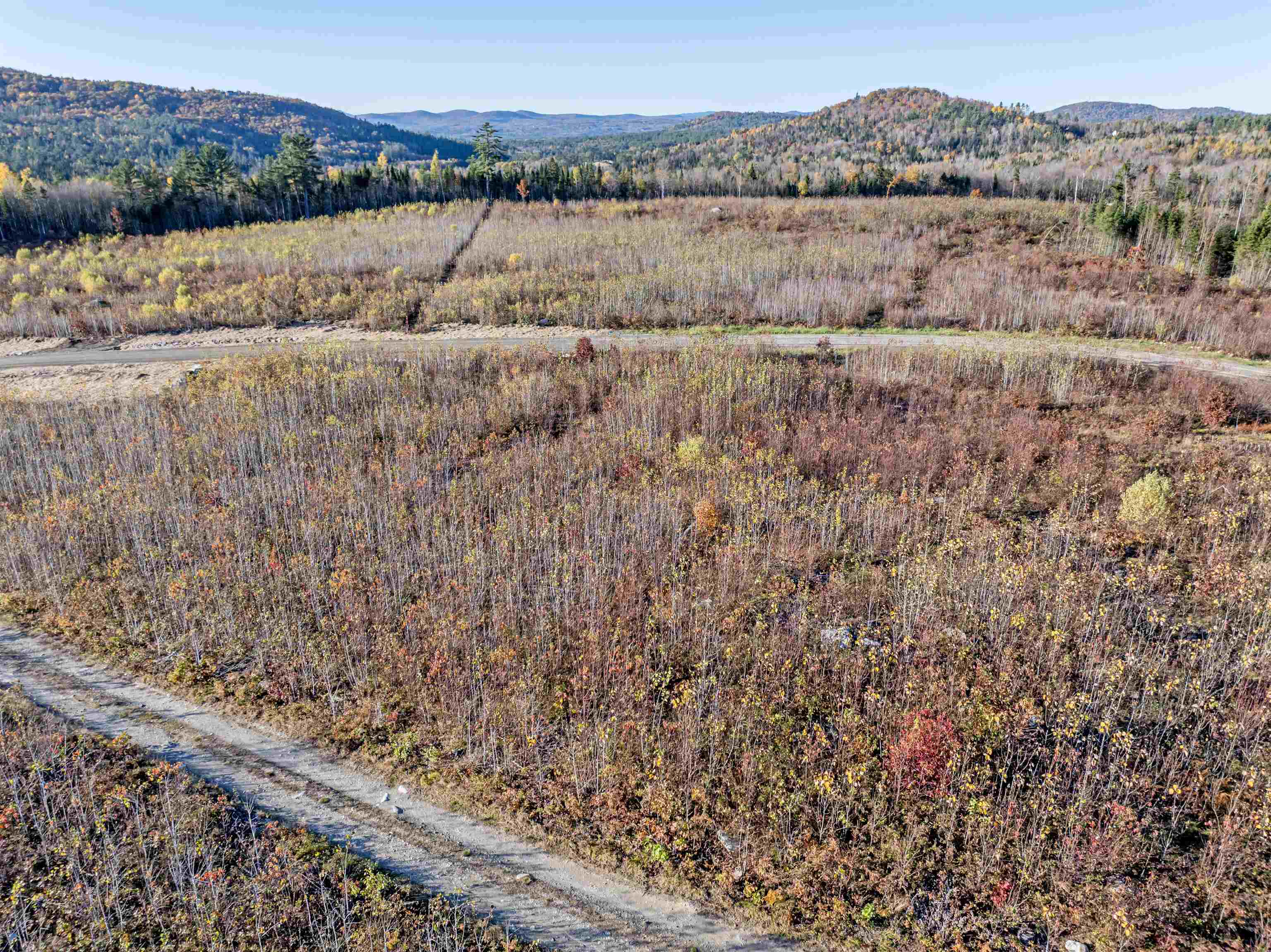 Lot 10 McIntyre Road