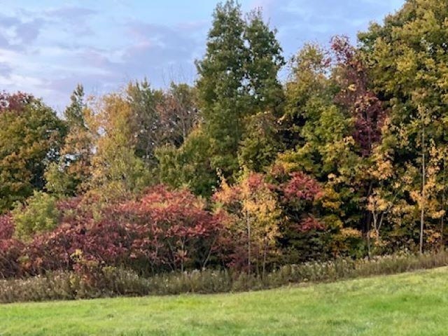 Monkton, Vermont 05443, United States, ,Land,Active,38642