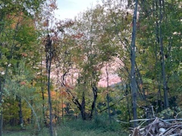 Monkton, Vermont 05443, United States, ,Land,Active,38642