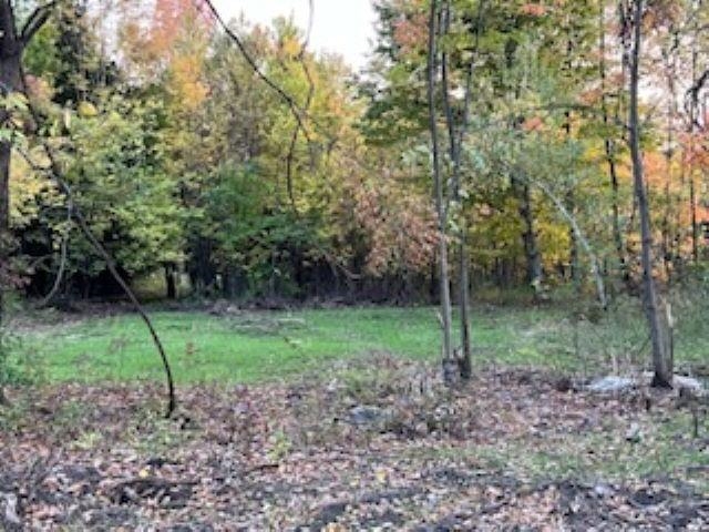 Monkton, Vermont 05443, United States, ,Land,Active,38642