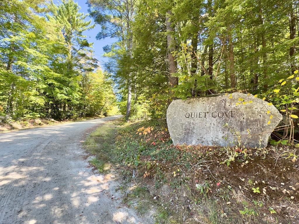 Photo of Quiet Cove Way #5, Wilmot, NH 03287 (MLS # 5064270)