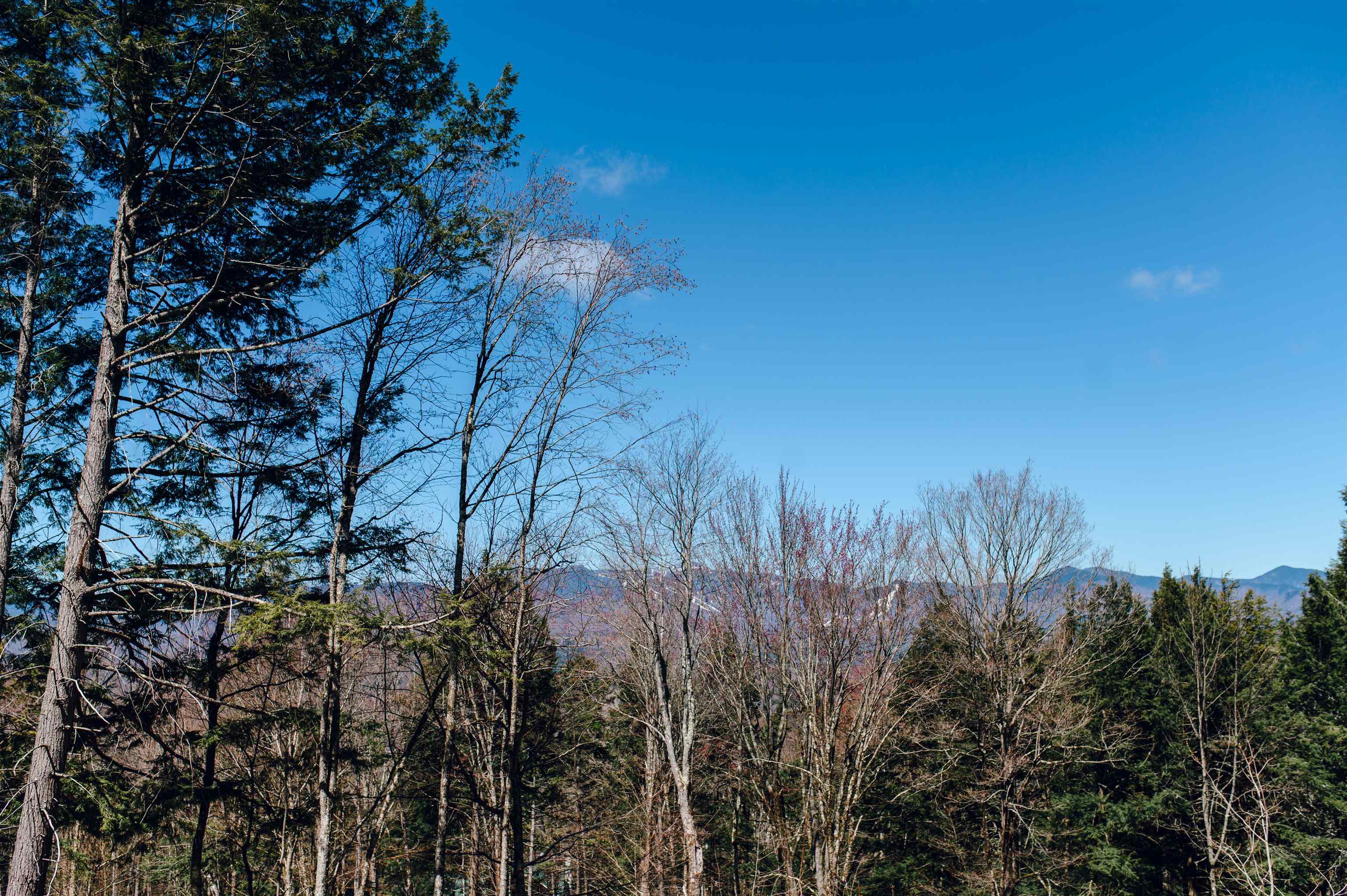 500A Ayers Farm Road