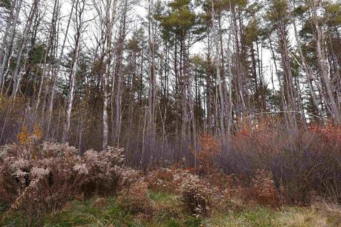 0 US 5 South Route Norwich VT 05055