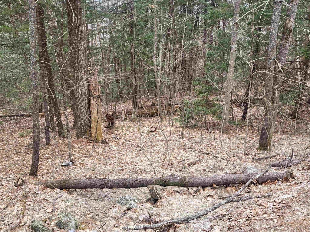 Photo of 410089001 Eastern District Road, Danbury, NH 03230 (MLS # 5036053)
