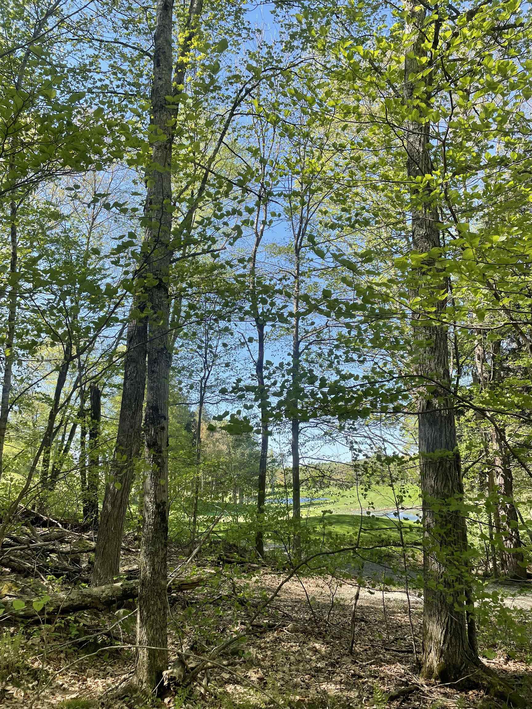 530 Finbars Forest Road