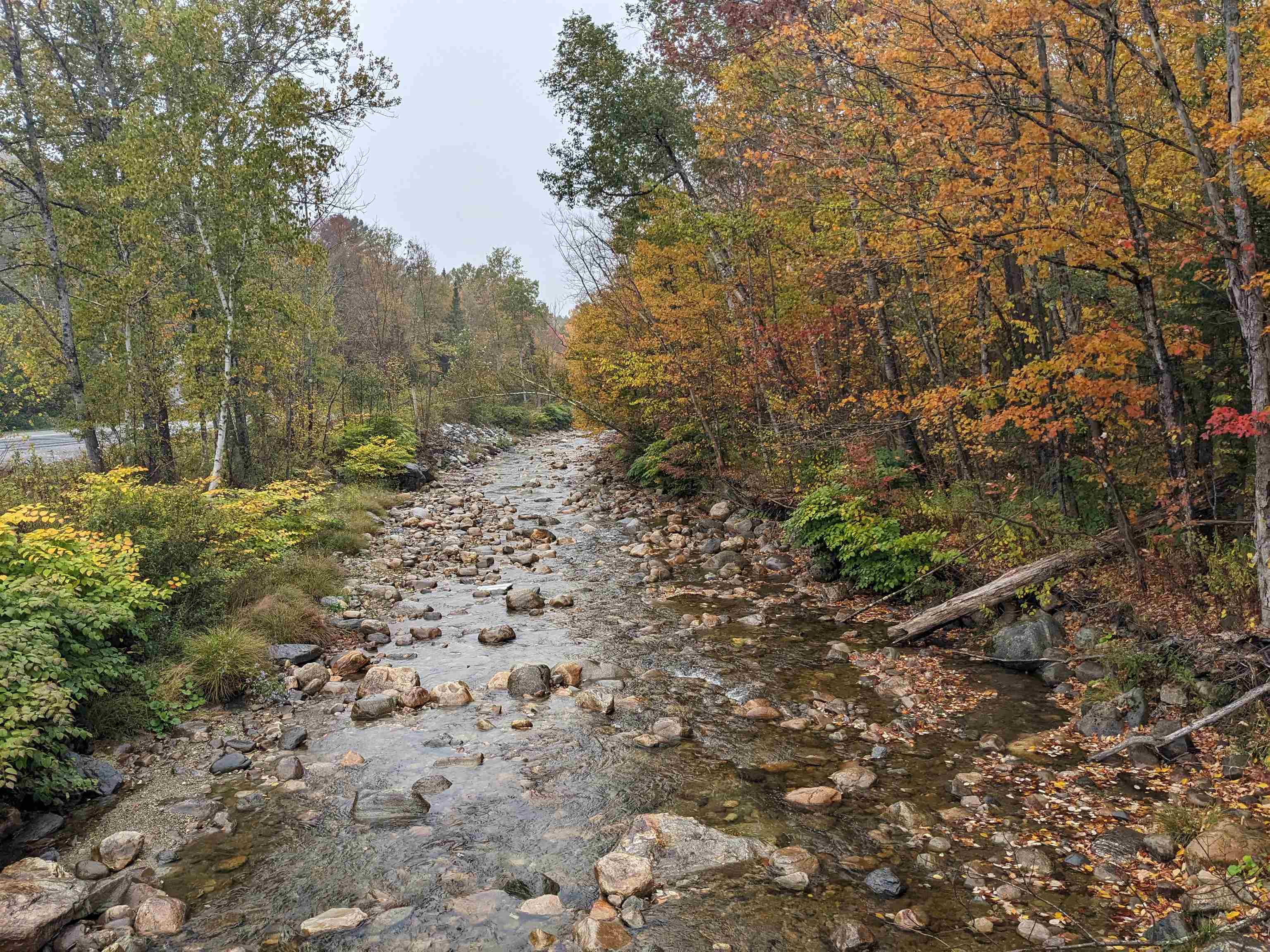 461 Wilmouth Hill Road