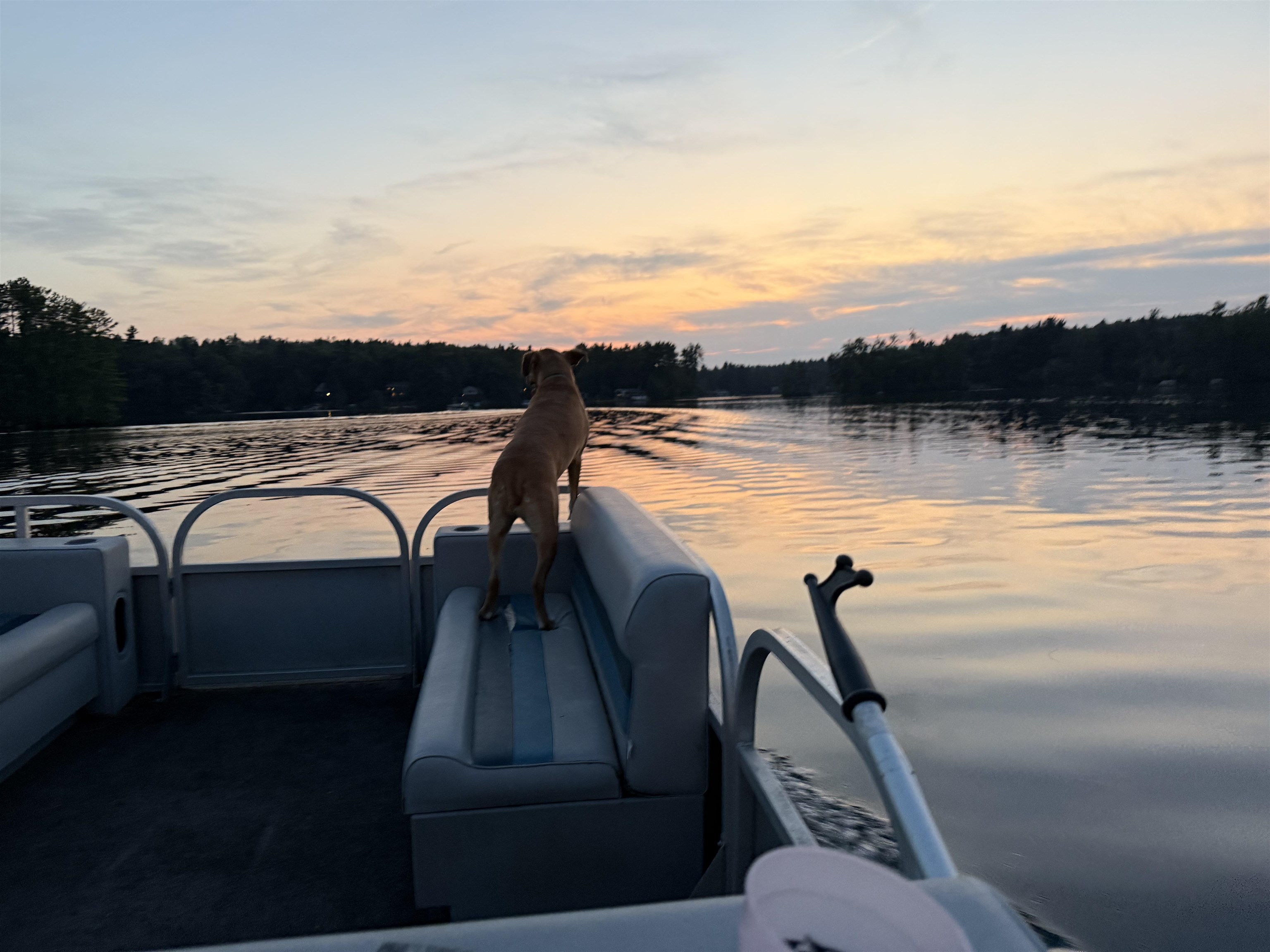 Bow, New Hampshire 03304, United States, 4 Bedrooms Bedrooms, ,3 BathroomsBathrooms,Residential,Active,172848