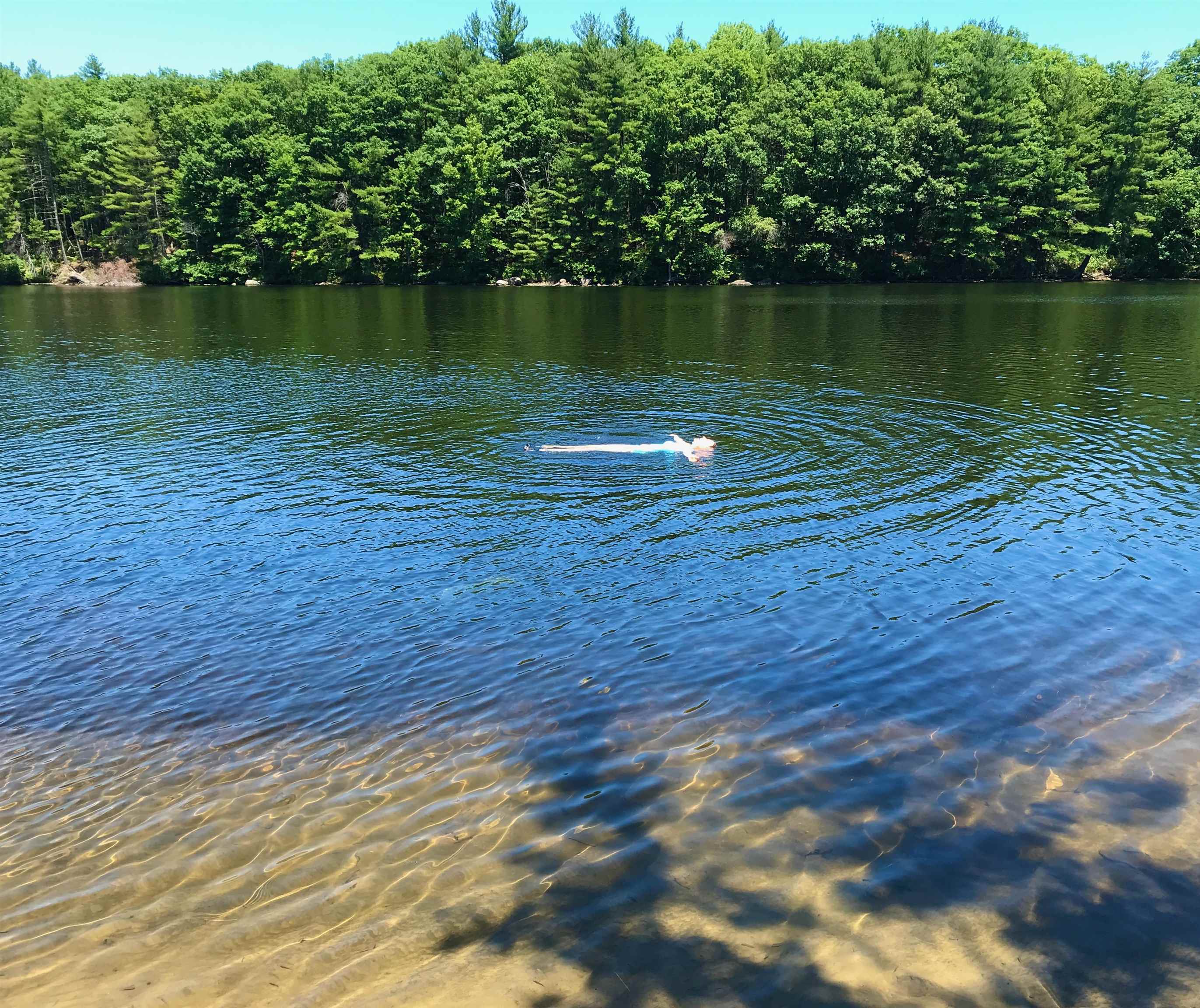 Bow, New Hampshire 03304, United States, 4 Bedrooms Bedrooms, ,3 BathroomsBathrooms,Residential,Active,172848