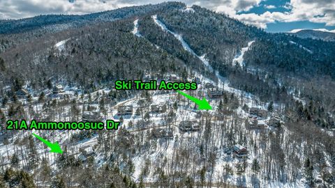 Photo of 21 Ammonoosuc Drive, Bartlett, NH 03812 (MLS # 5080647)