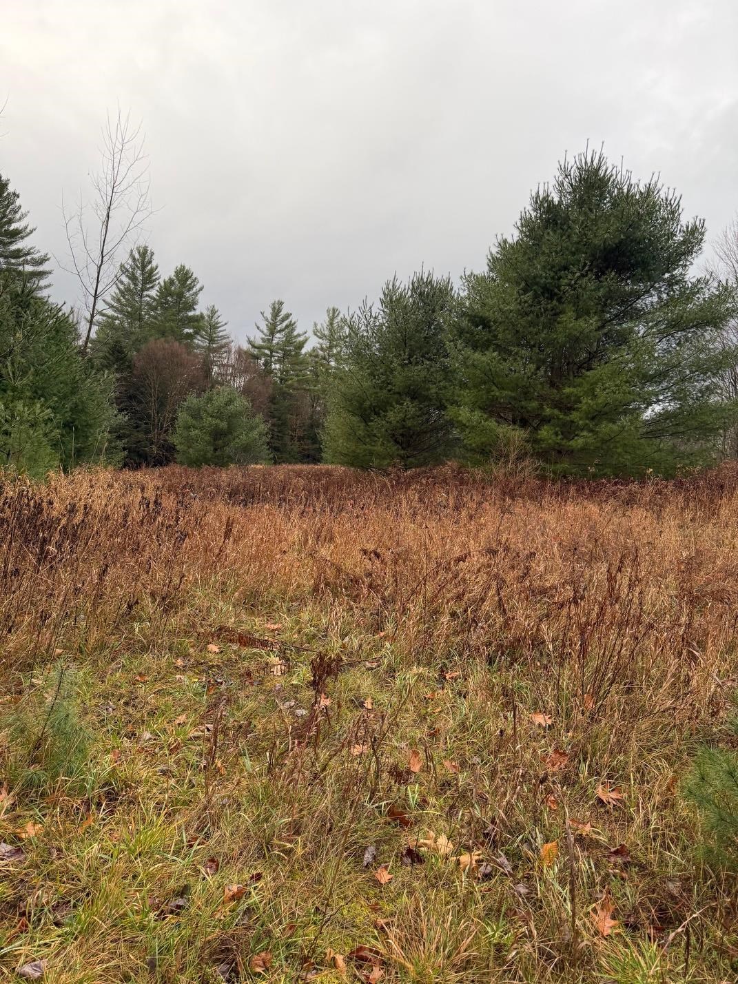 334 North Cambridge Road