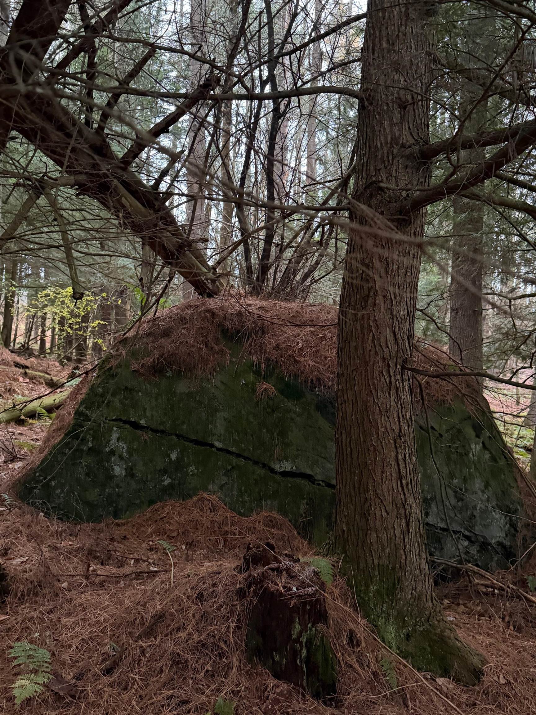 334 North Cambridge Road