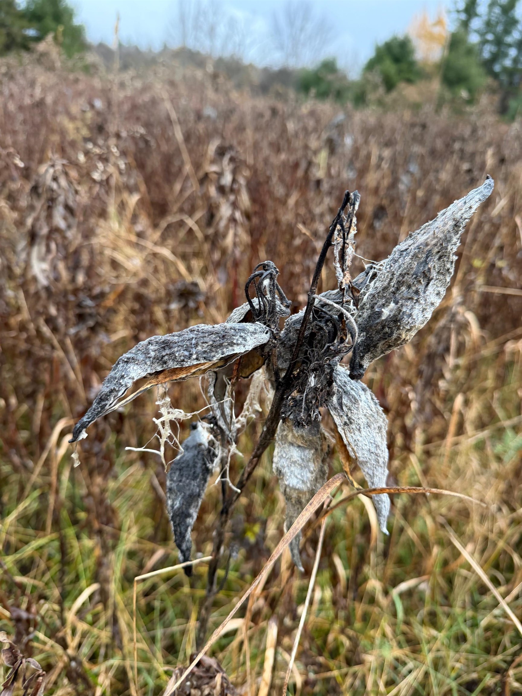 334 North Cambridge Road