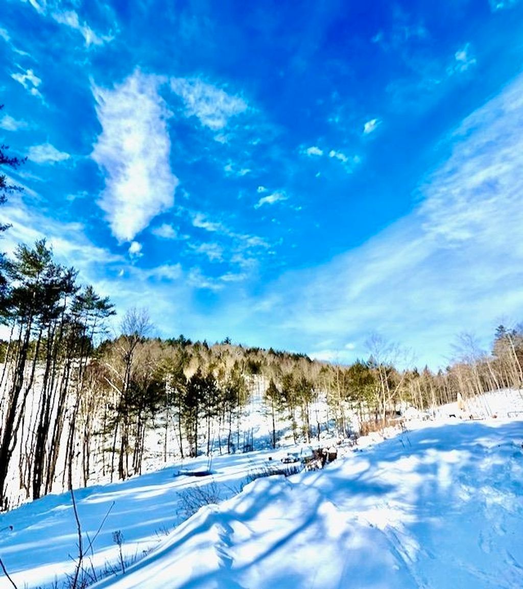 Photo of 266 Tory Hill Road, Langdon, NH 03602 (MLS # 5076129)