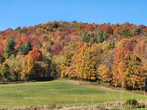 3007 West Berkshire Road Berkshire VT 05450