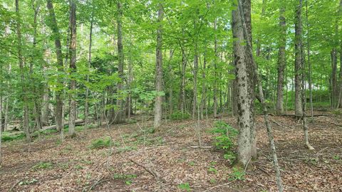 46-2 & 47 Route 153 Middleton NH 03887