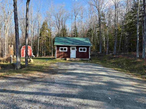 103 Bear Hill West Road Ludlow VT 05149