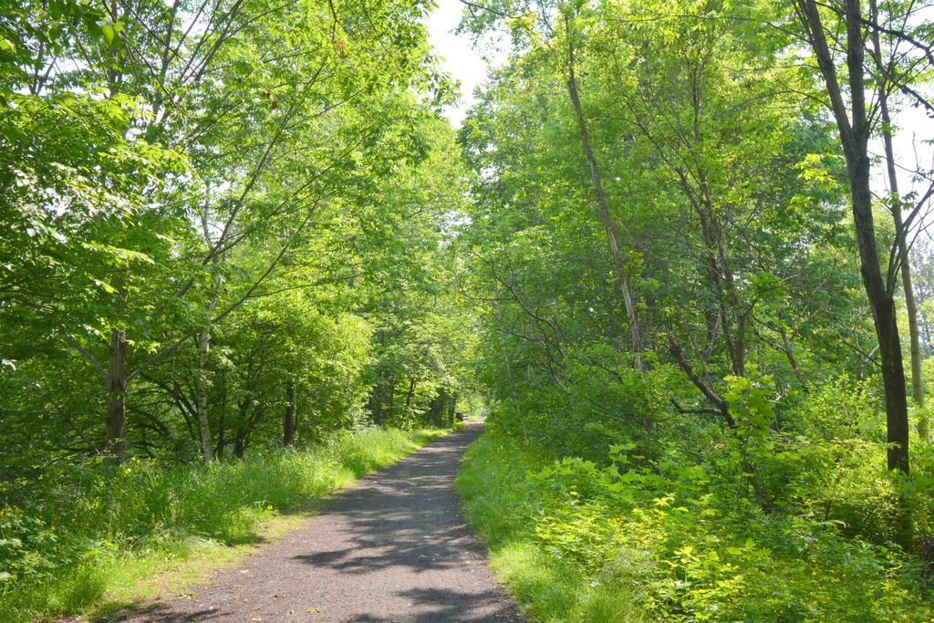 Photo of 503 Dartmouth College Highway, Lebanon, NH 03766 (MLS # 5045920)