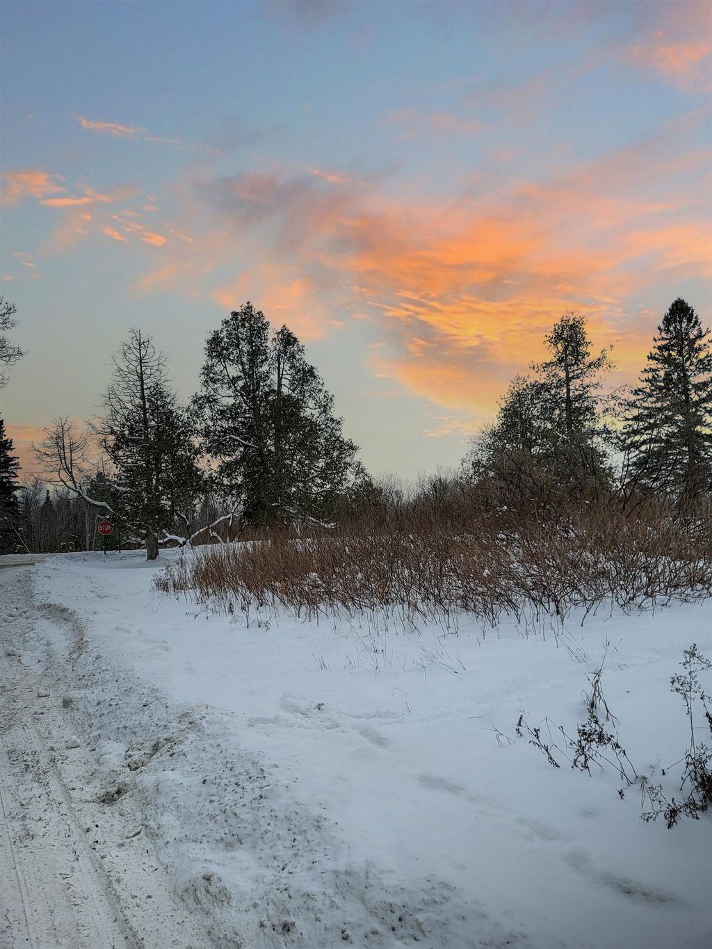 Photo of 000 Mountain View Road, Whitefield, NH 03598 (MLS # 5071914)