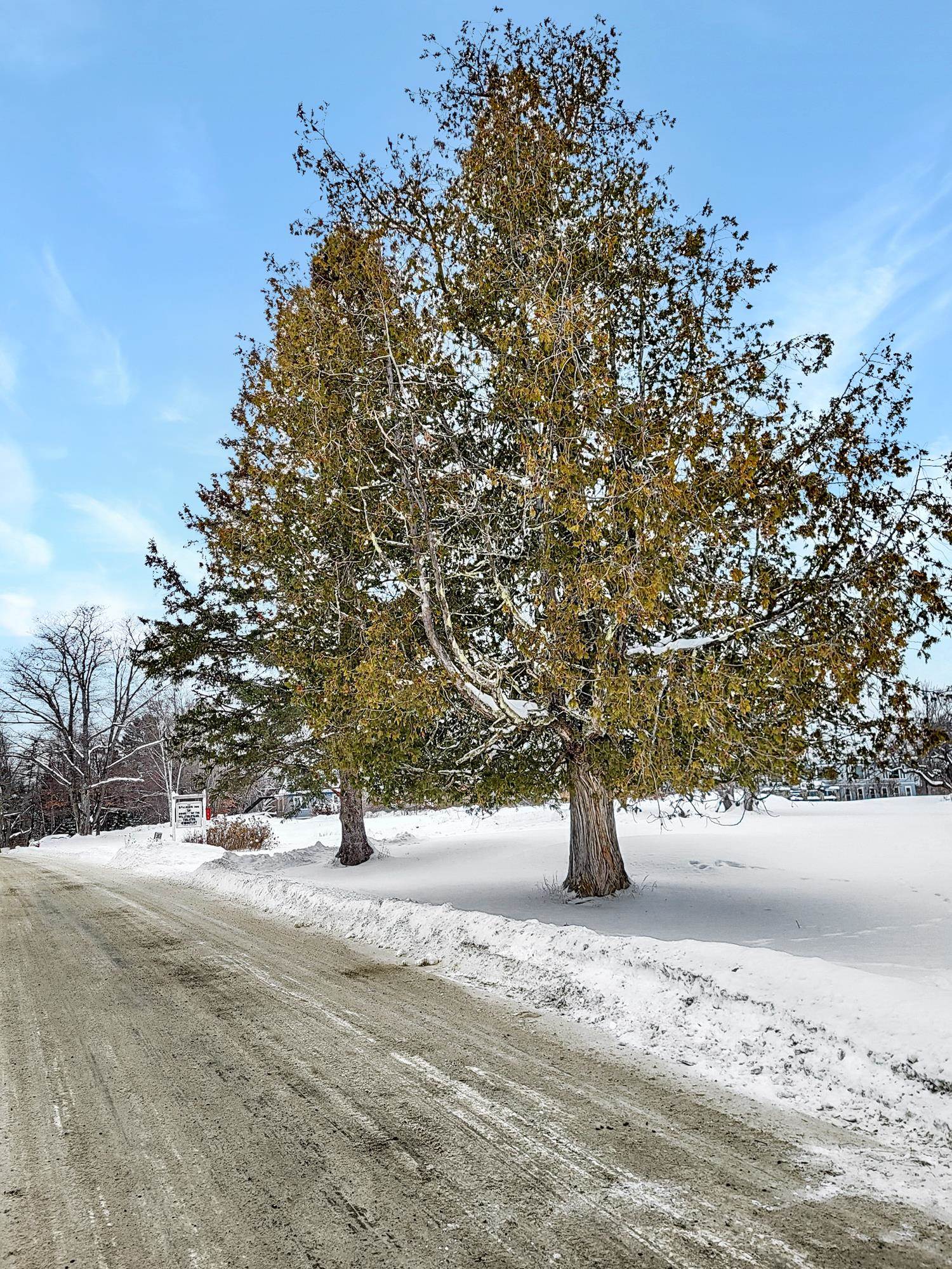 000 Mountain View Road