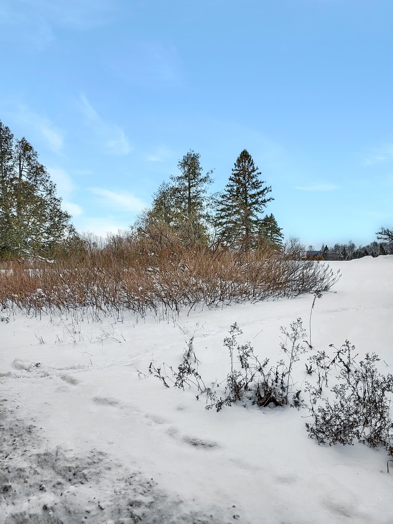 000 Mountain View Road