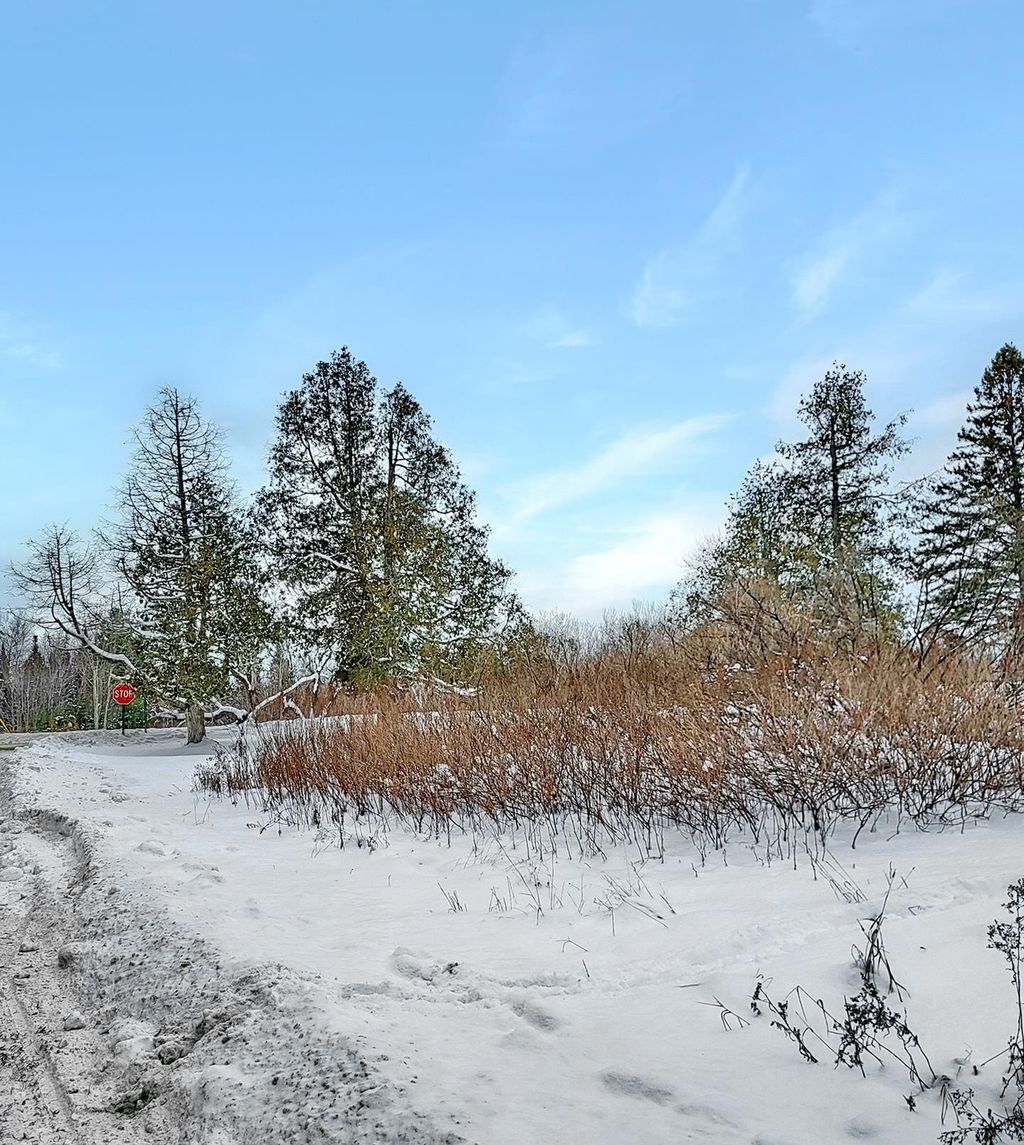 Photo of 000 Mountain View Road, Whitefield, NH 03598 (MLS # 5071914)