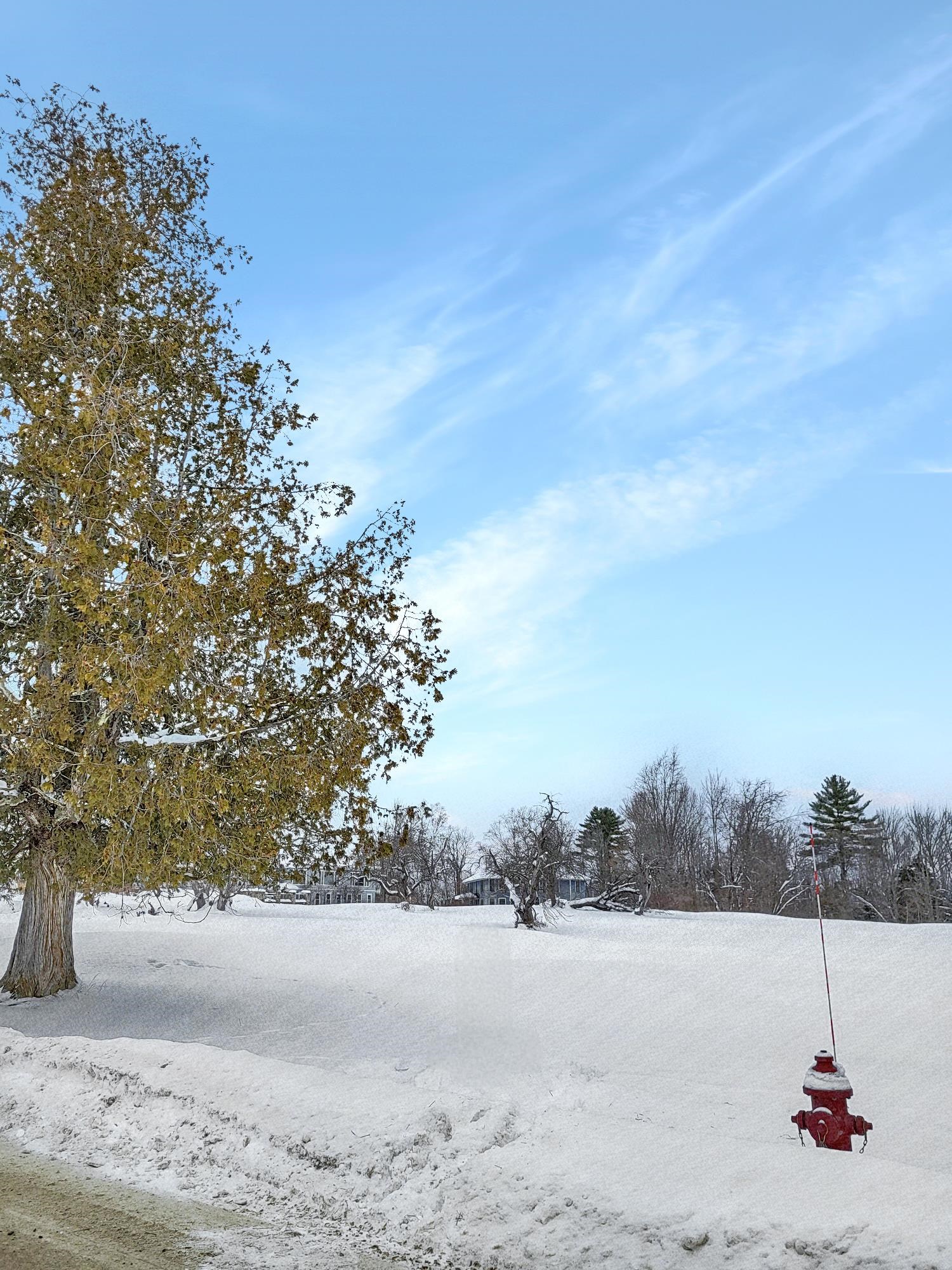 000 Mountain View Road