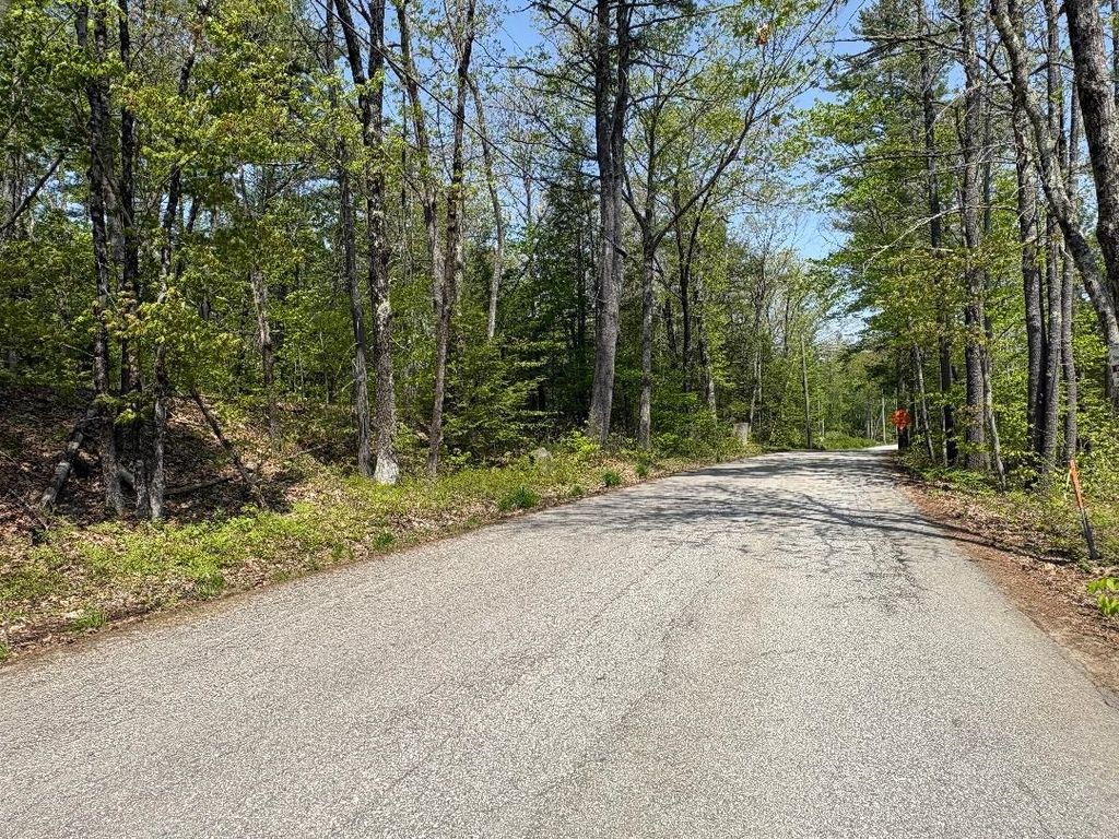 Photo of 195 Wilton Road, Mason, NH 03048 (MLS # 5089582)