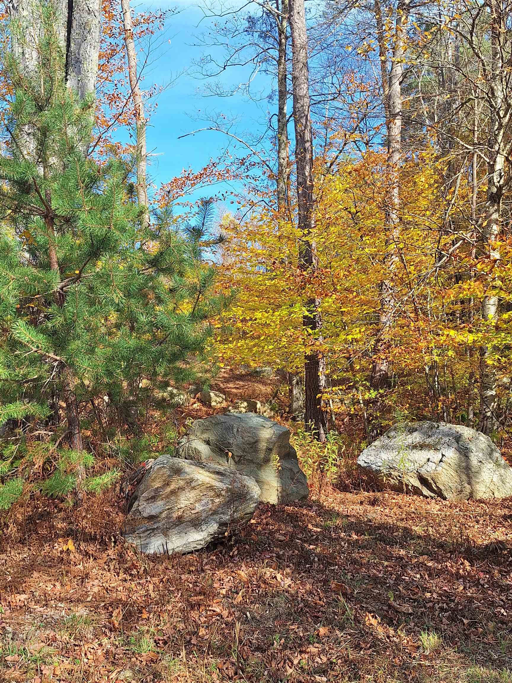 504 Elbow Road Lot #2