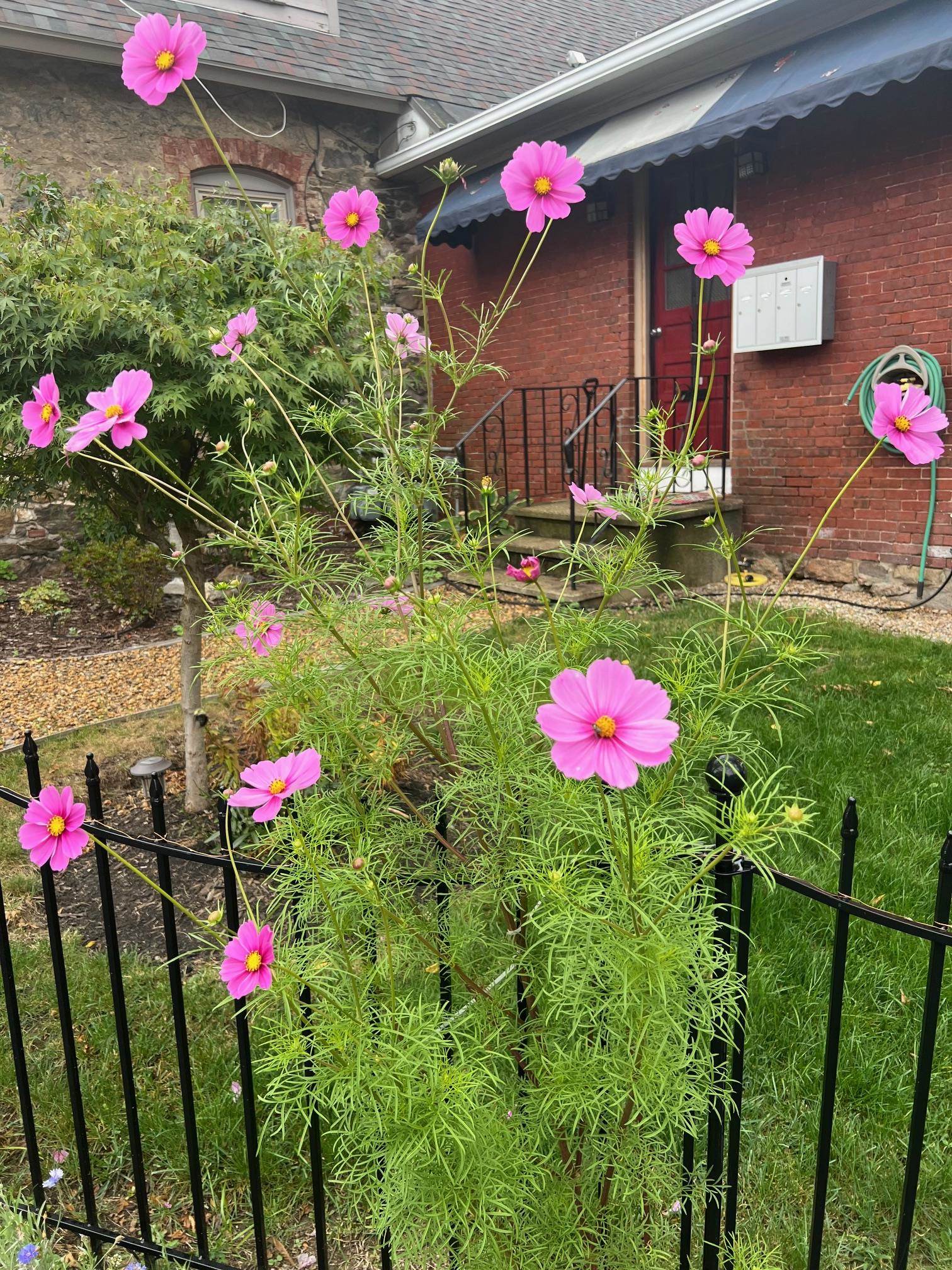 Manchester, New Hampshire 03104, United States, 1 Bedroom Bedrooms, ,1 BathroomBathrooms,Residential,Active,119416