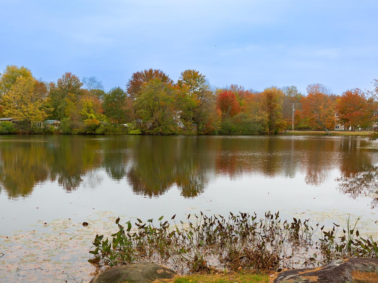 290 Calef Highway B21